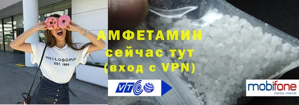 индика Гусь-Хрустальный