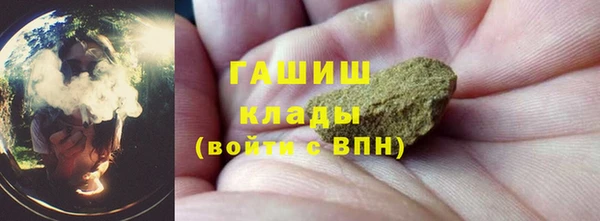 трава Гусиноозёрск
