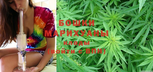 индика Гусь-Хрустальный