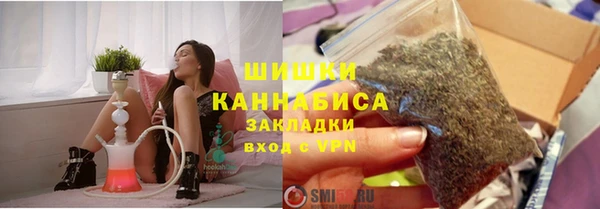 трава Гусиноозёрск
