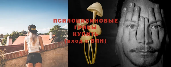 ГАЛЛЮЦИНОГЕННЫЕ ГРИБЫ Горнозаводск
