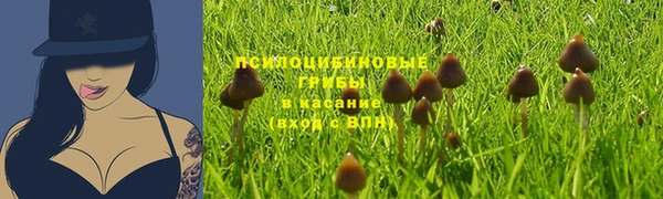 ГАЛЛЮЦИНОГЕННЫЕ ГРИБЫ Горнозаводск
