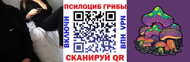 Купить где  Саров  Псилоцибиновые грибы MAGIC MUSHROOMS 